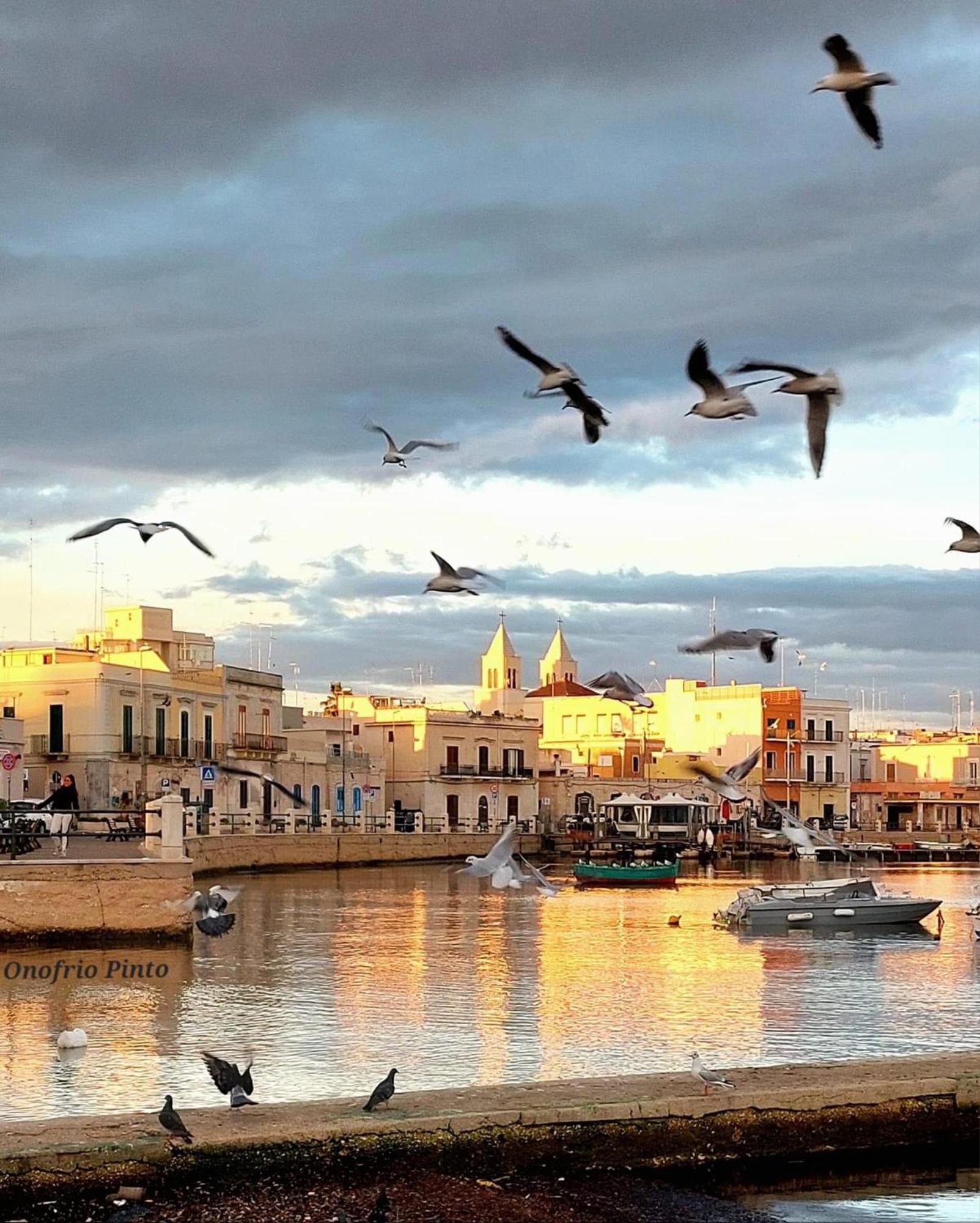 Casa Myda Apartman Bari Kültér fotó